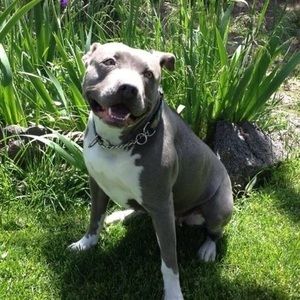 Meet your Posher, Jerry